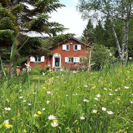 Chalet Chic Wildhaus Dış mekan fotoğraf