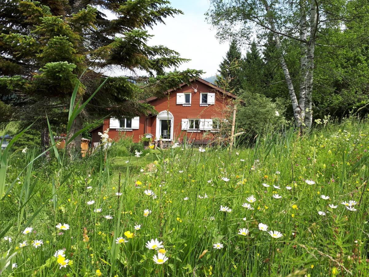 Chalet Chic Wildhaus Dış mekan fotoğraf