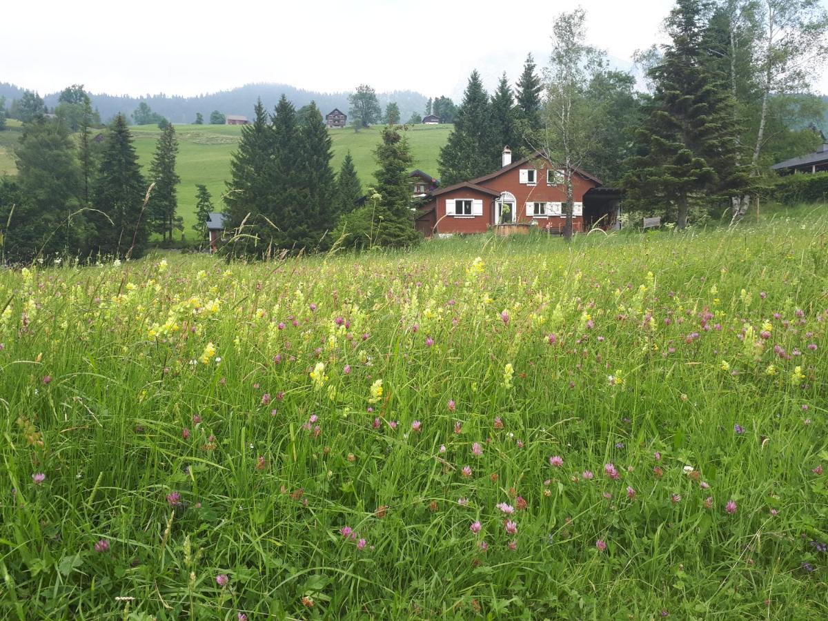 Chalet Chic Wildhaus Dış mekan fotoğraf